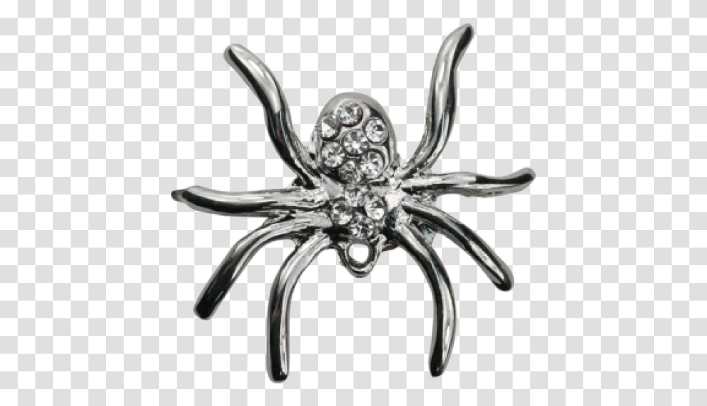 Wolf Spider, Jewelry, Accessories, Accessory, Sink Faucet Transparent Png