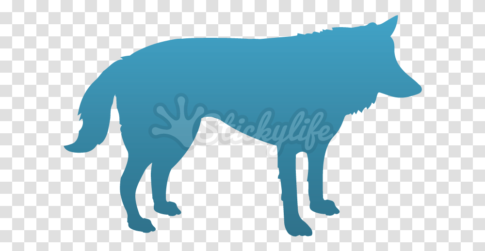 Wolf Temporary Tattoo Dog Catches Something, Mammal, Animal, Wildlife, Canine Transparent Png