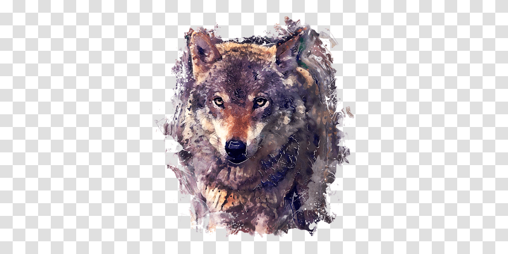 Wolf Watercolor Painting T Shirt Wolf Watercolor Painting, Mammal, Animal, Red Wolf, Canine Transparent Png