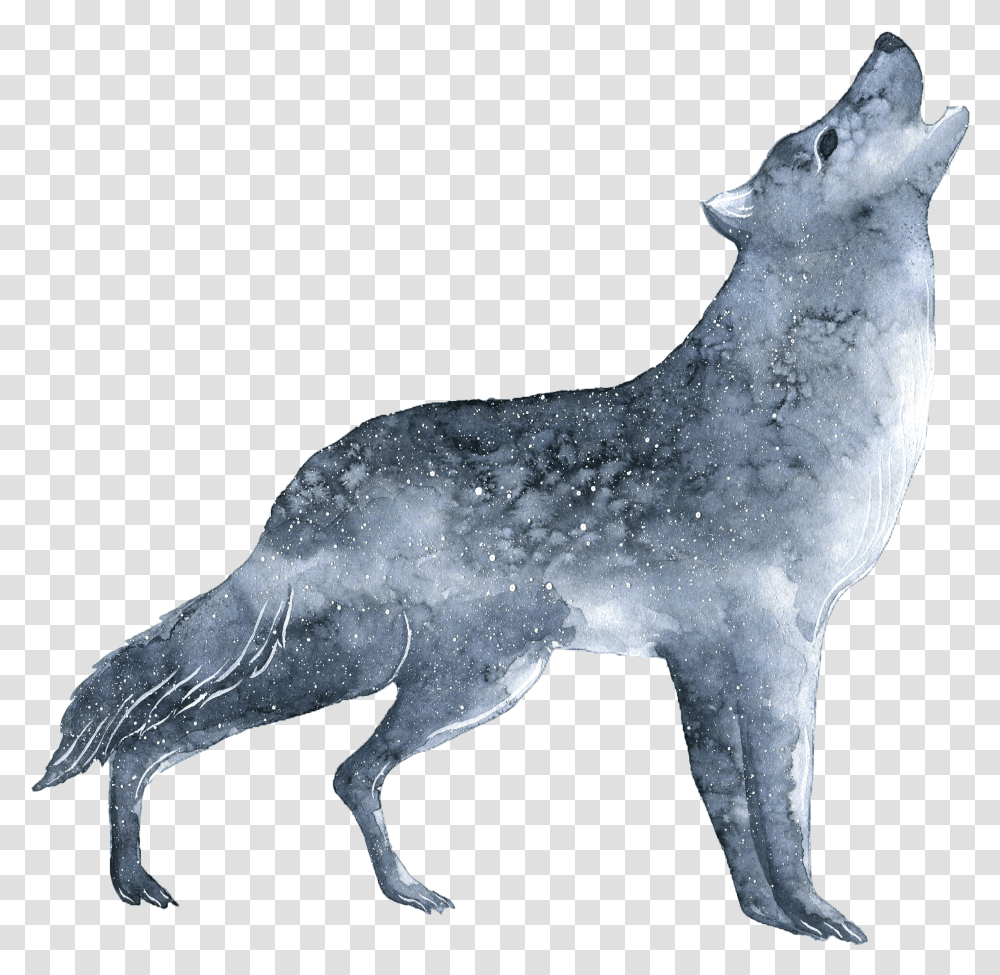 Wolf With No Background, Mammal, Animal, Coyote, Red Wolf Transparent Png