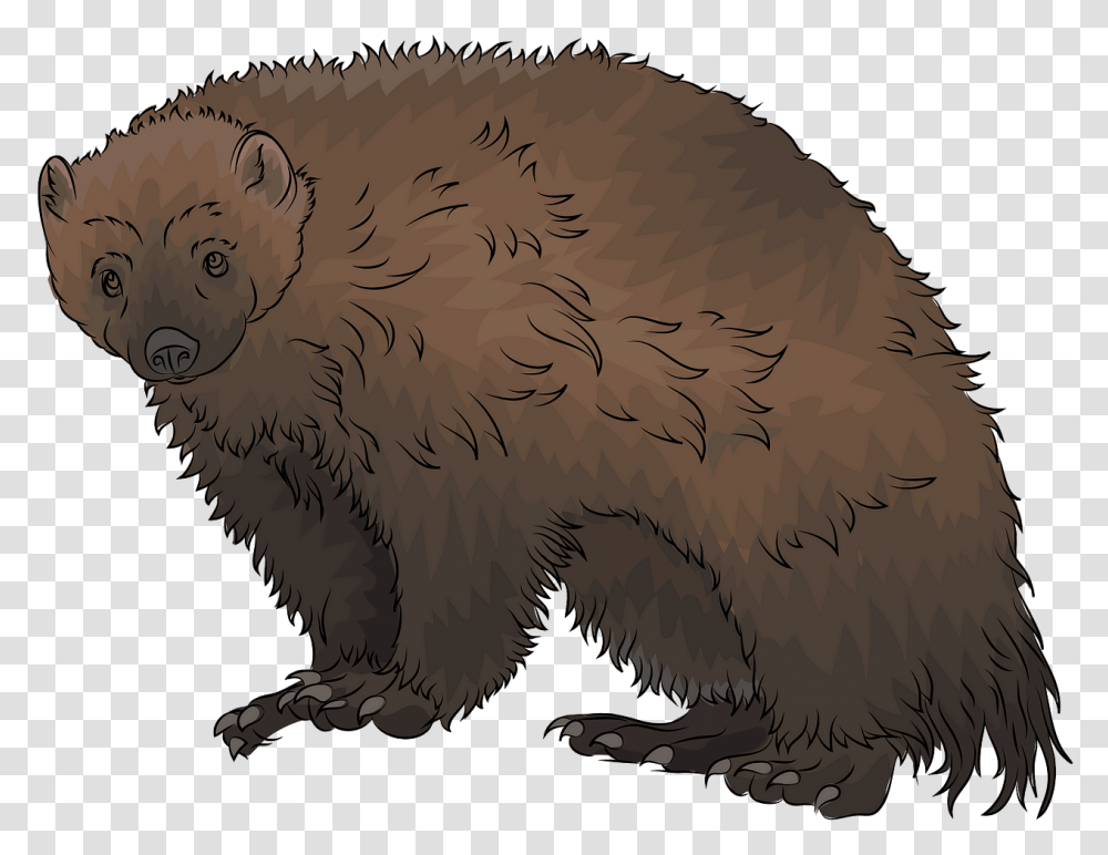 Wolverine Animal Clipart, Mammal, Painting, Wildlife, Bird Transparent Png