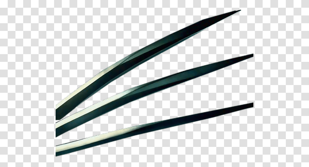 Wolverine Claws, Cutlery, Fork, Water, Animal Transparent Png