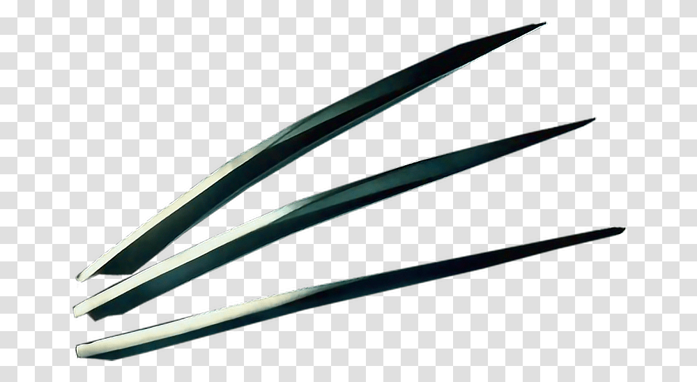Wolverine Claws, Cutlery, Fork, Water, Plant Transparent Png