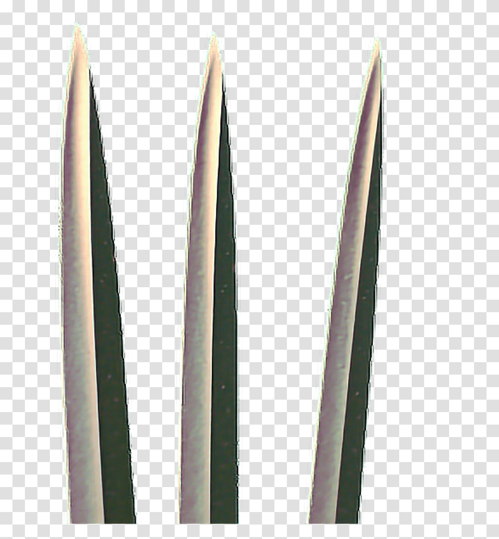 Wolverine Claws X Men Hand, Weapon, Weaponry, Blade, Plant Transparent Png