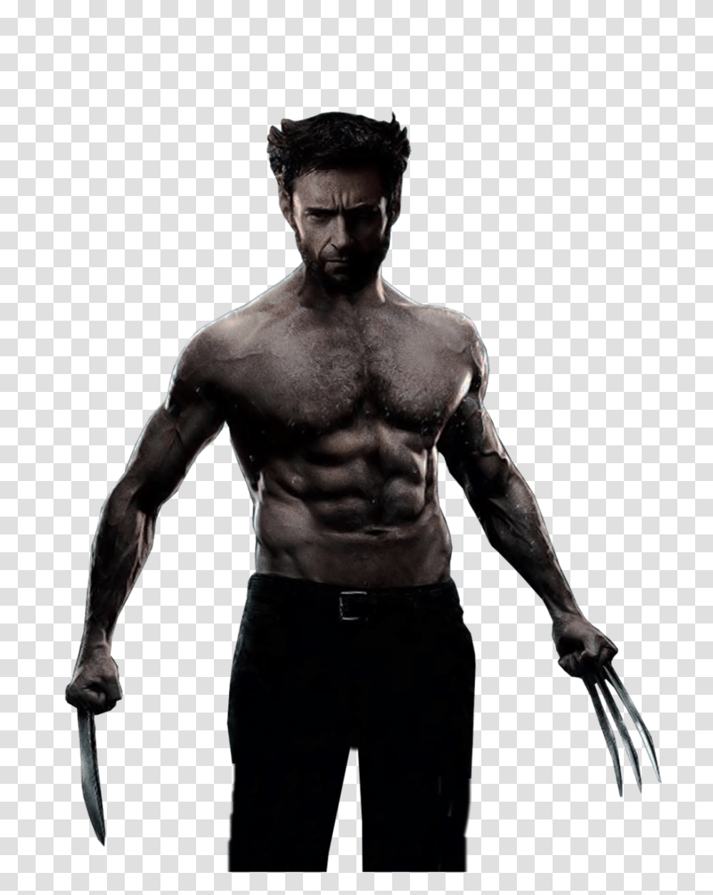 Wolverine, Fantasy, Arm, Person, Human Transparent Png