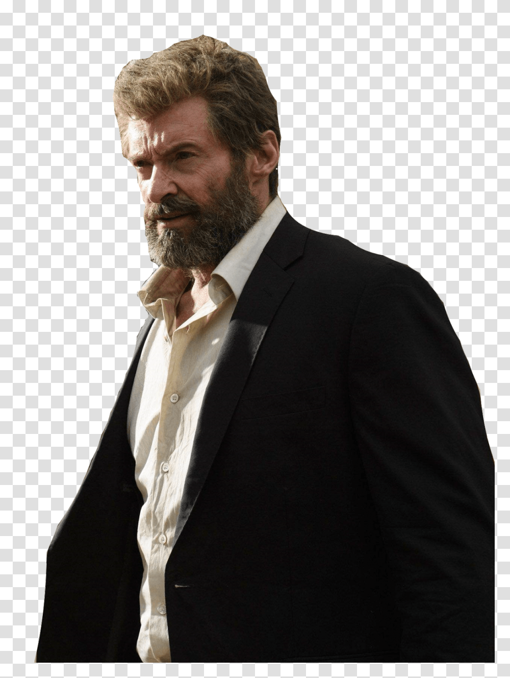 Wolverine, Fantasy, Face, Person, Human Transparent Png