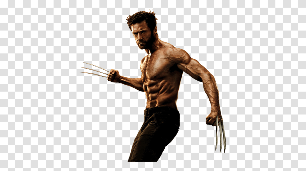 Wolverine, Fantasy, Person, Human, Arm Transparent Png