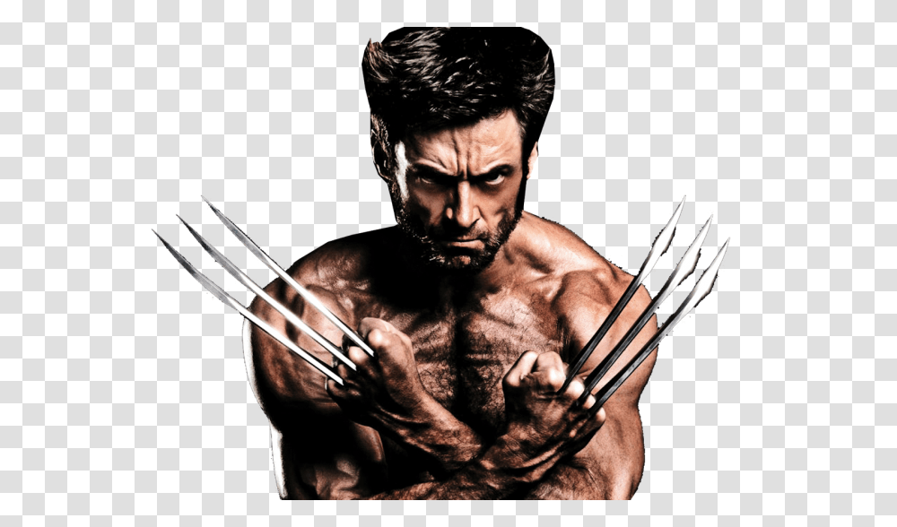 Wolverine, Fantasy, Person, Human, Arrow Transparent Png