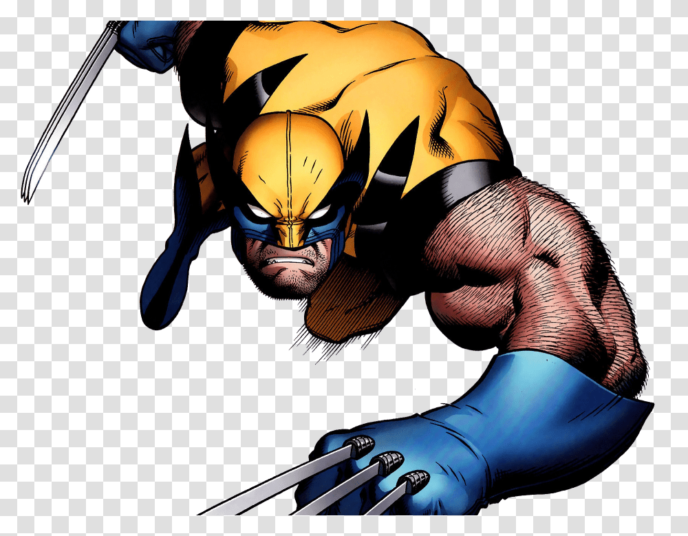Wolverine, Fantasy, Person, Human, Hand Transparent Png