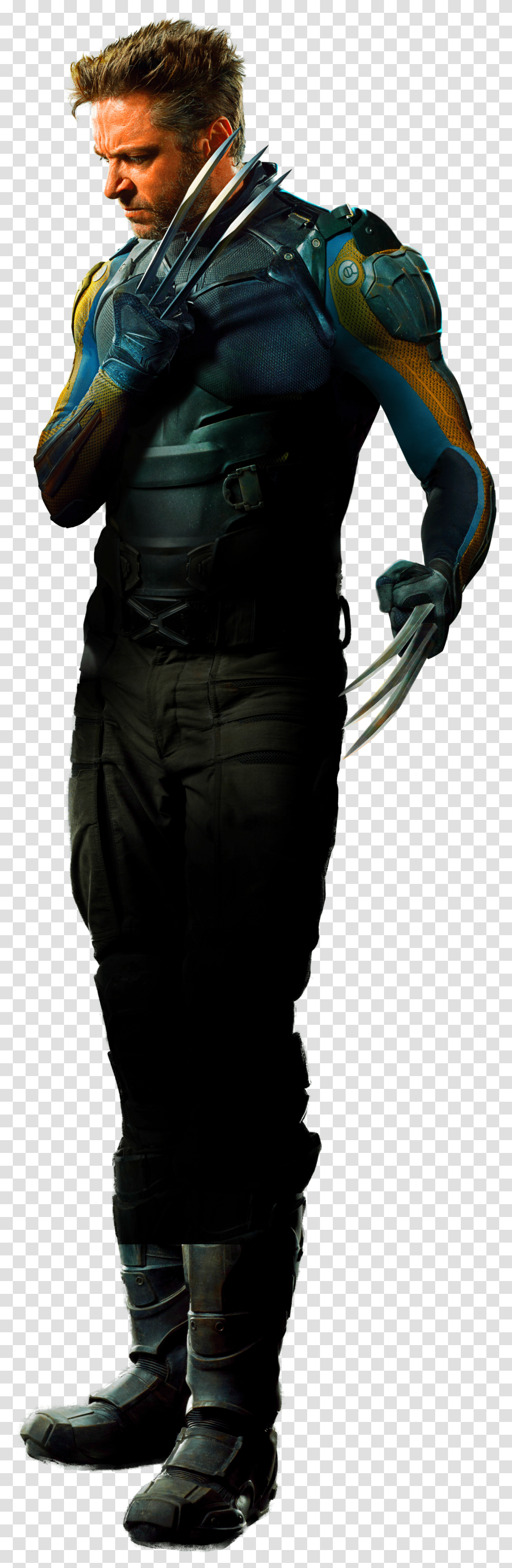 Wolverine, Fantasy, Person, Human, Hook Transparent Png