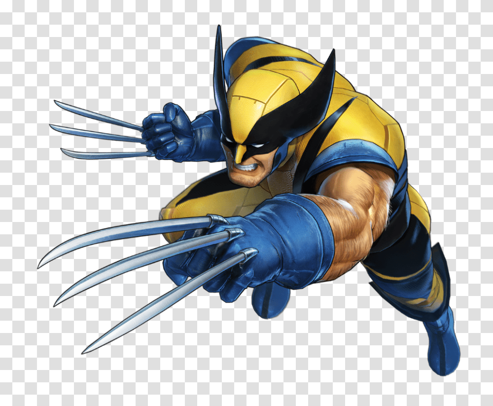 Wolverine, Fantasy, Person, Wasp, Bee Transparent Png