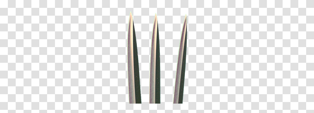 Wolverine, Fantasy, Weapon, Weaponry, Plant Transparent Png