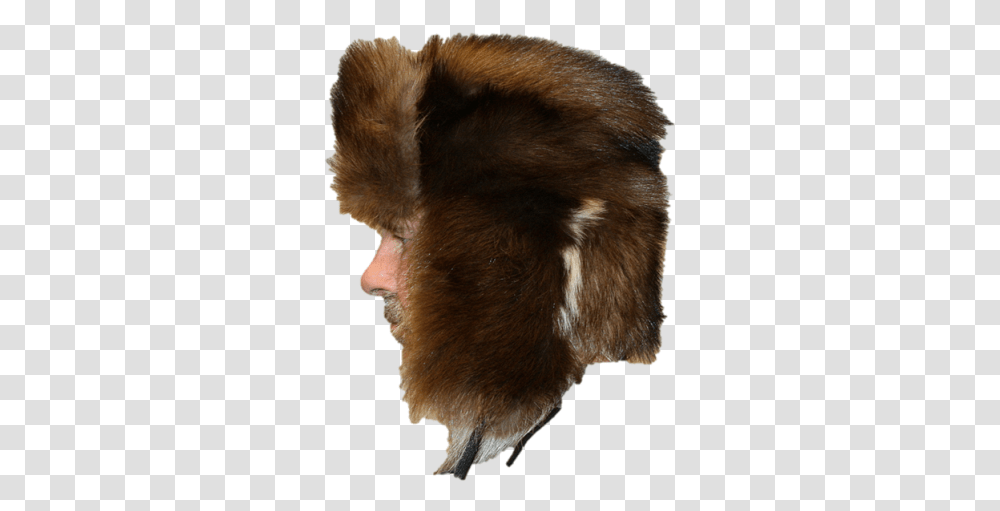 Wolverine Fur Russian Trooper Style Hat Wolverine Hat, Bear, Wildlife, Mammal, Animal Transparent Png