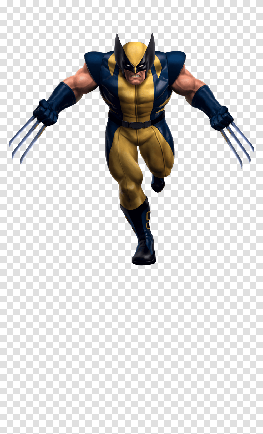 Wolverine The Marvel Experience Thailand, Person, People, Wasp, Bee Transparent Png