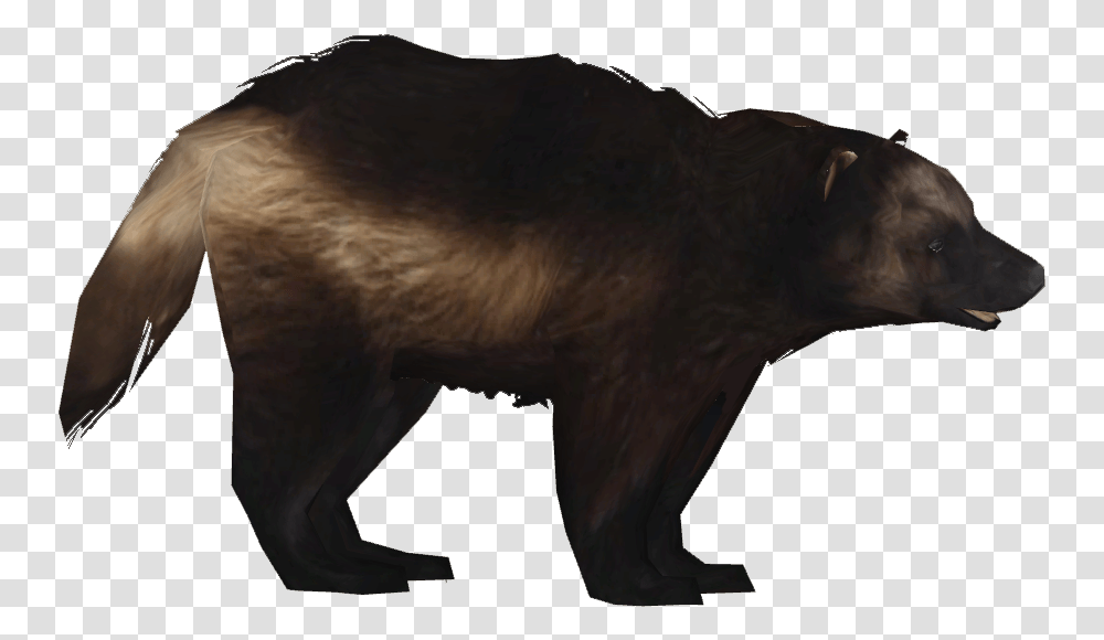 Wolverine Wolverine Animal, Mammal, Wildlife, Pig, Horse Transparent Png