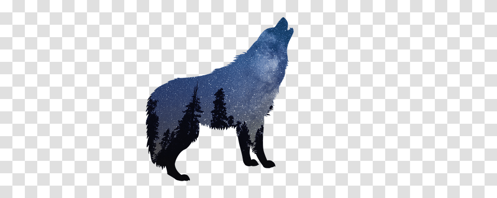 Wolves Nature, Mammal, Animal, Wolf Transparent Png