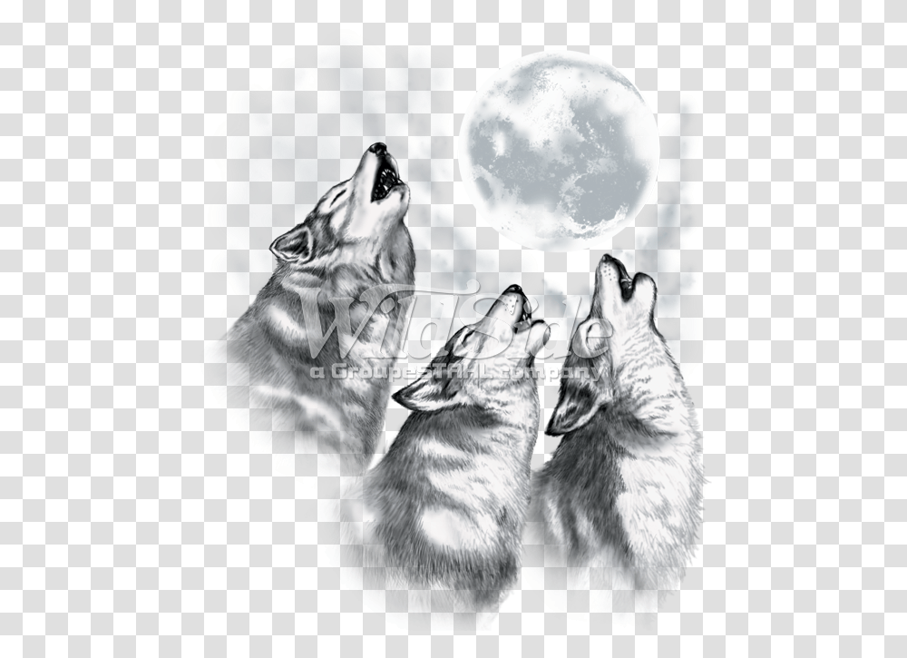 Wolves Howling At The Moon Wolves Howling At The Moon Drawings, Dog, Pet, Canine, Animal Transparent Png