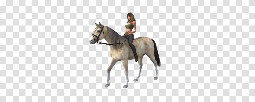 Woman Person, Horse, Mammal, Animal Transparent Png