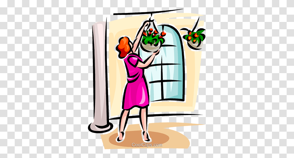 Woman Looking After Her Hanging Baskets Royalty Free Vector Clip, Person, Outdoors, Drawing Transparent Png