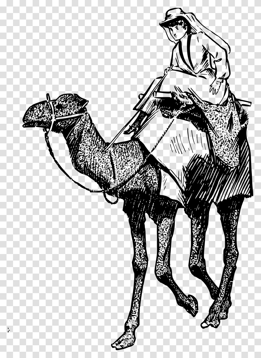 Woman On A Camel Clip Arts Woman And Camel, Gray, World Of Warcraft Transparent Png