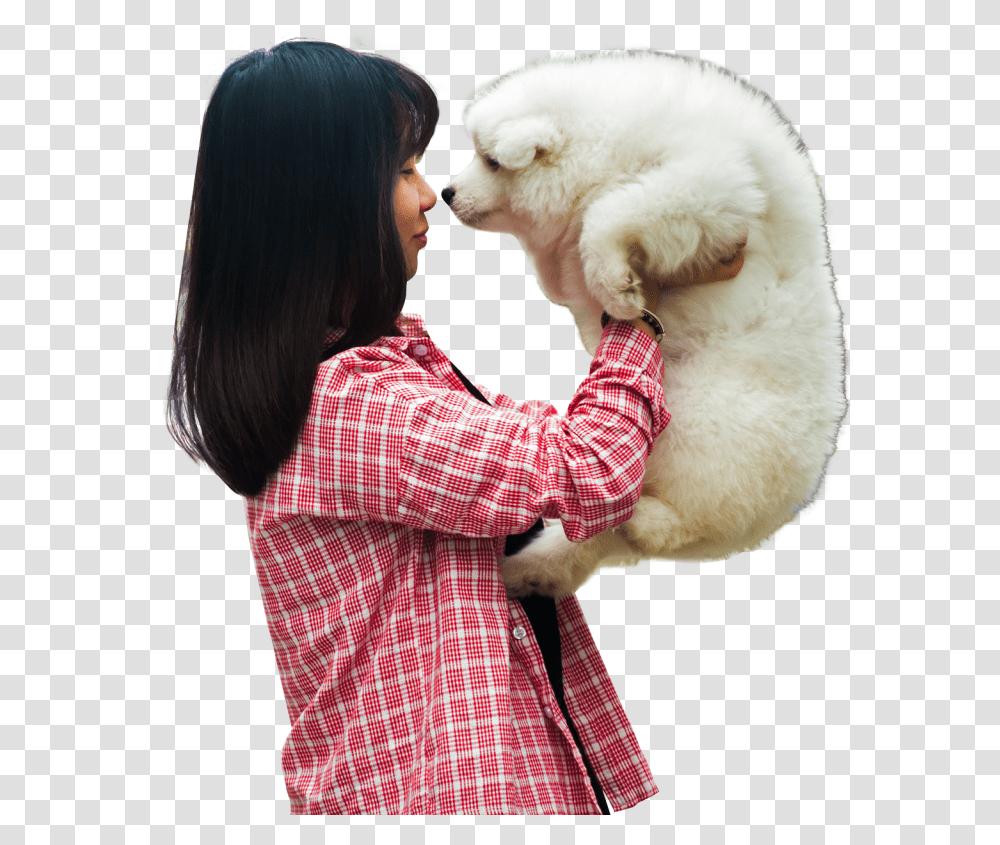 Woman Playing With A Puppy Dog Image Dog, Person, Pet, Animal, Canine Transparent Png
