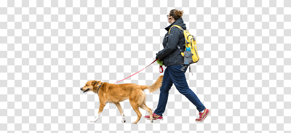 Woman Walking Dog Windy Day People Walking, Person, Strap, Pet, Canine Transparent Png