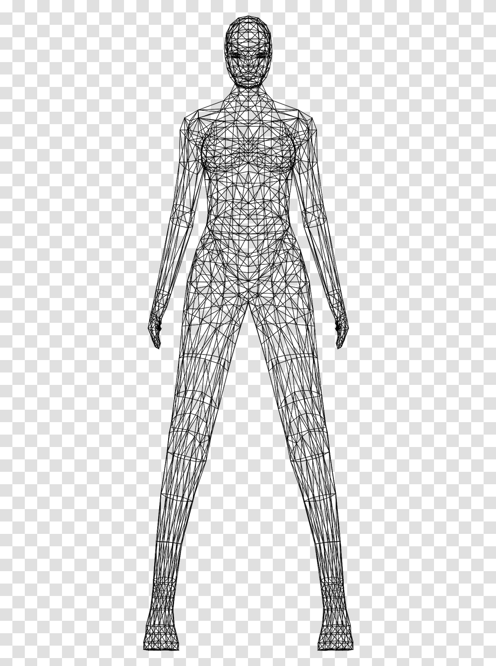 Woman Wireframe Low Poly Free Photo Body Wireframe, Gray, World Of Warcraft Transparent Png