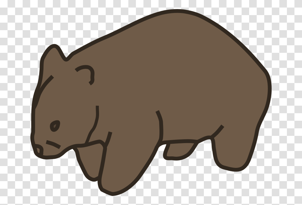 Wombat, Animals, Mammal, Wildlife, Aardvark Transparent Png
