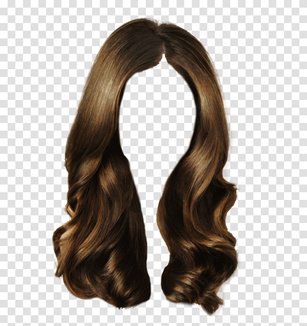 Women Hair Image Free, Horse, Mammal, Animal, Wig Transparent Png