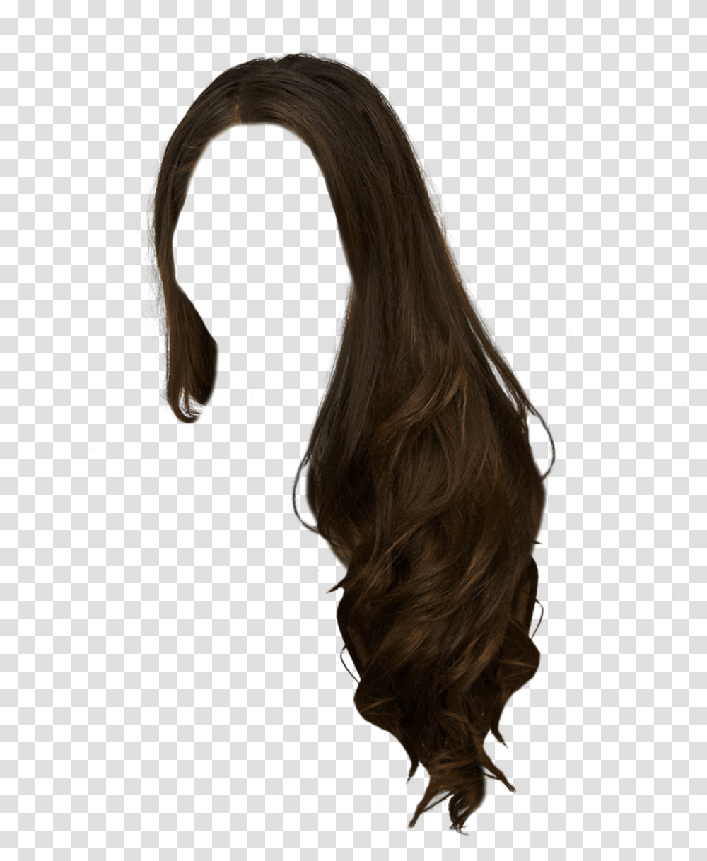 Women Hair Image, Person, Human, Painting Transparent Png