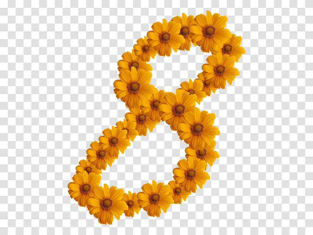 Women's Day 8 March 8 March Woman Day Of The Woman Tag Der Frau 2018, Plant, Flower, Blossom, Sunflower Transparent Png