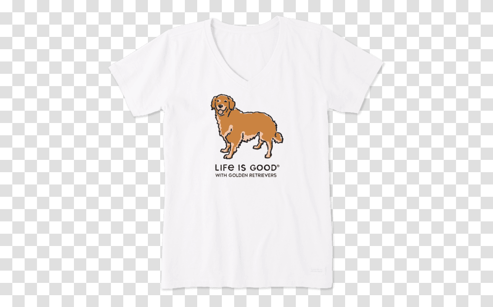 Women's Lig With Golden Retrievers Crusher Vee Narcissistic Abuse Awareness Day 2019, Apparel, T-Shirt, Animal Transparent Png