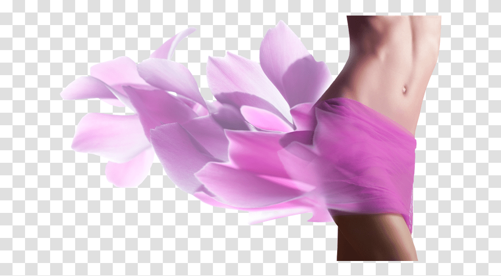 Women Waist Body Beauty Belly Laser Hair Removal Flower, Plant, Petal, Dahlia, Person Transparent Png