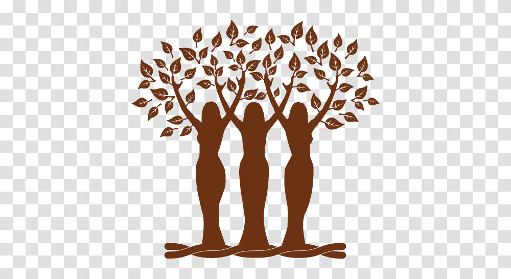 Womens Herbal Conference, Tree, Plant, Root, Tree Trunk Transparent Png