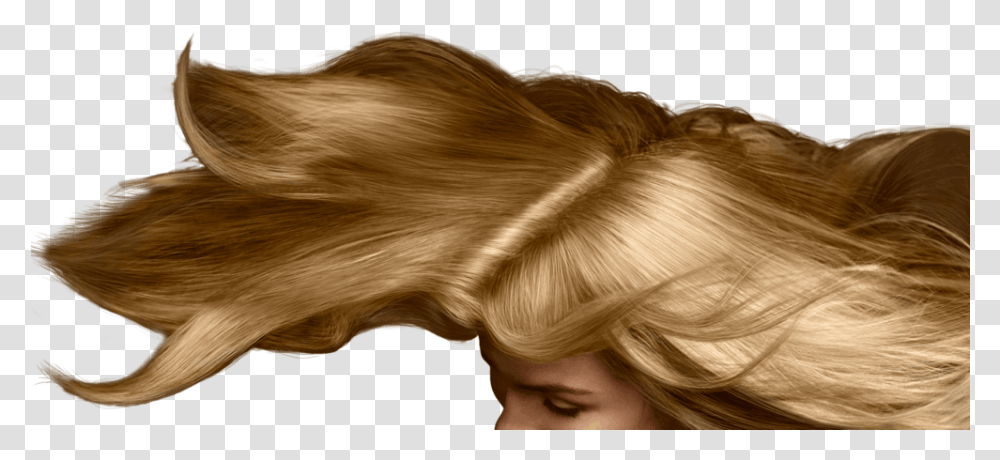 Womens Regaine Blond, Hair, Head, Dog, Animal Transparent Png
