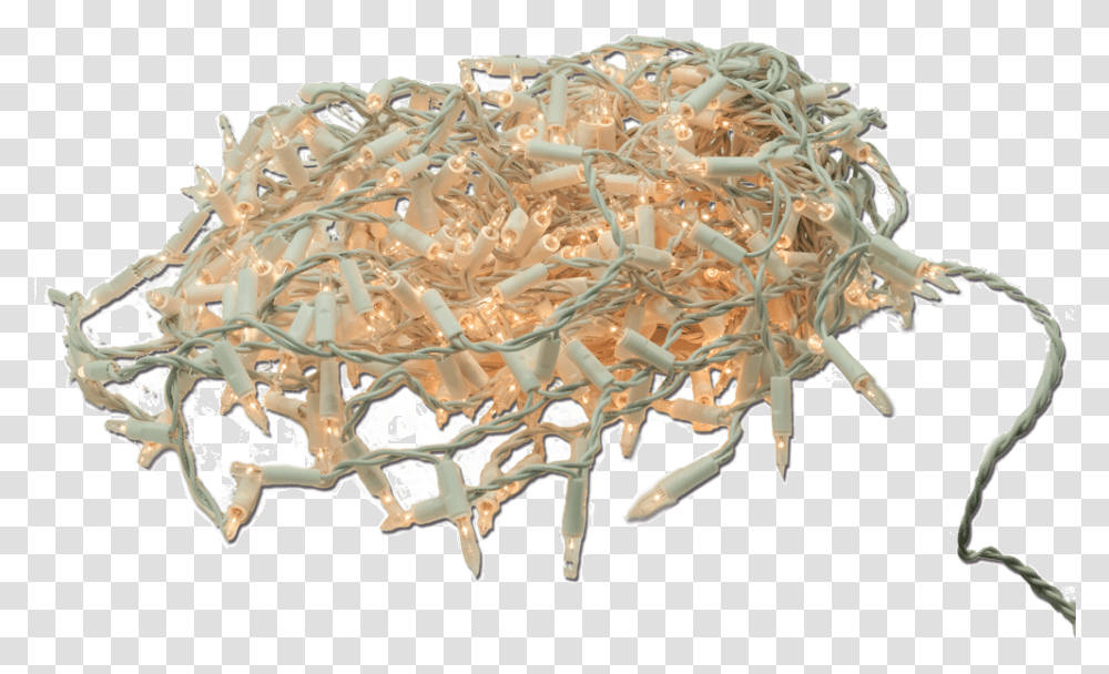 Wood, Animal, Table, Furniture, Lobster Transparent Png