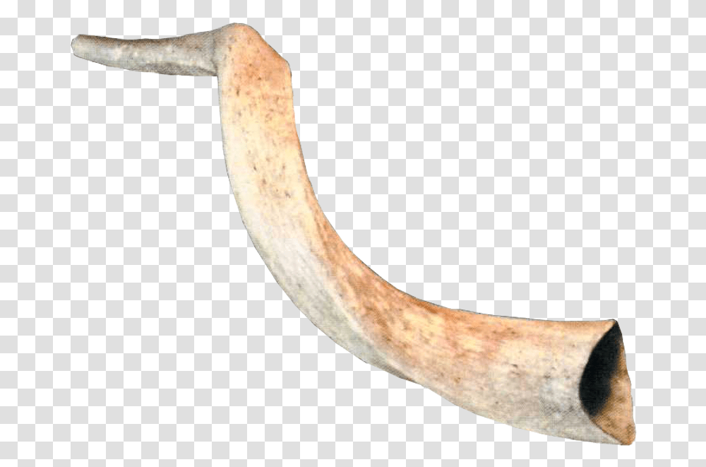 Wood, Axe, Tool, Horn, Brass Section Transparent Png