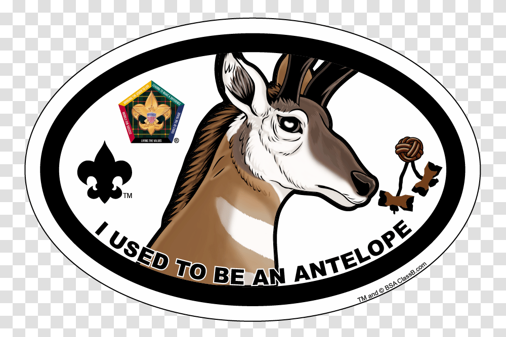 Wood Badge Antelope Oval Magnet, Label, Mammal, Animal Transparent Png