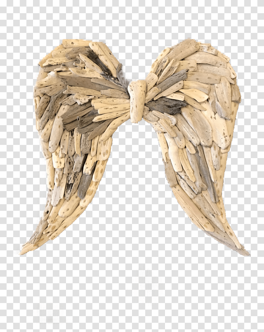 Wood, Bird, Animal, Fungus, Cushion Transparent Png