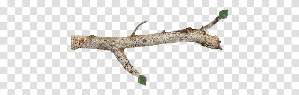 Wood Branch Clipart Tree Branch, Axe, Tool, Plant, Root Transparent Png