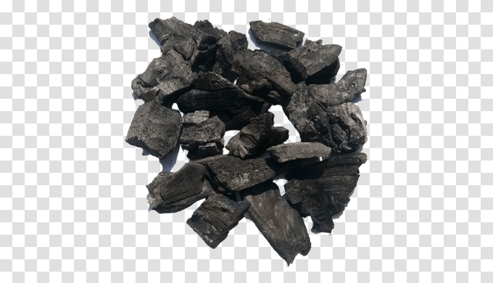 Wood Charcoal Igneous Rock, Mineral, Anthracite, Fungus, Limestone Transparent Png