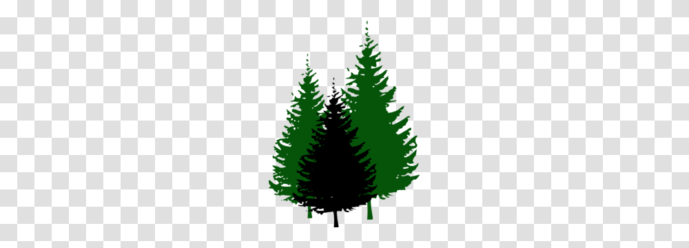 Wood Clipart Mountain Tree, Plant, Pine, Fir, Abies Transparent Png