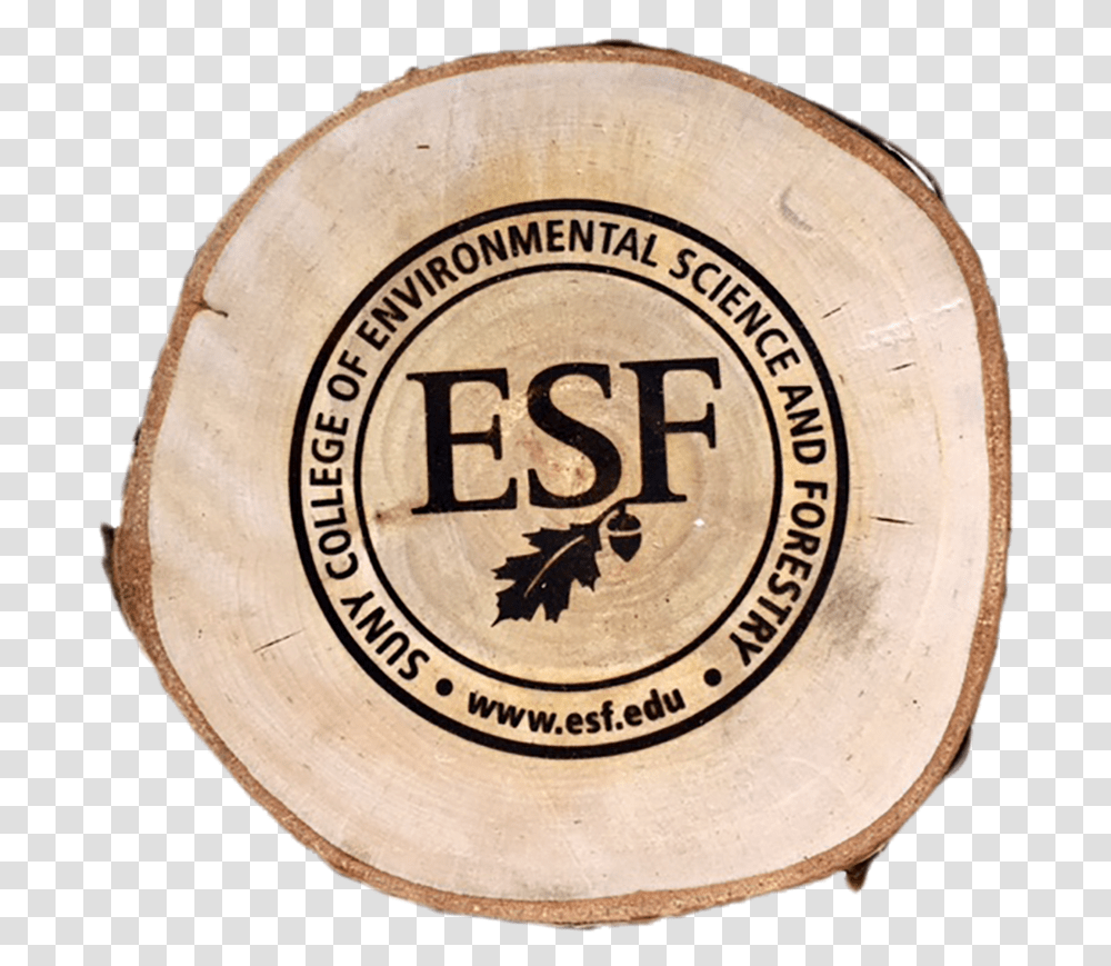 Wood Discs State University Of New York College Of Environmental, People, Drum, Percussion Transparent Png