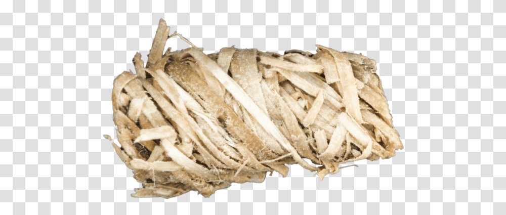 Wood Fire Starter, Ivory, Animal, Insect, Invertebrate Transparent Png