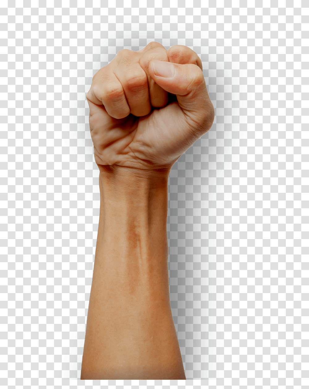 Wood, Hand, Wrist, Person, Human Transparent Png