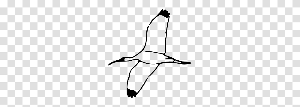 Wood Ibis Clip Art, Bow, Bird, Animal, Albatross Transparent Png