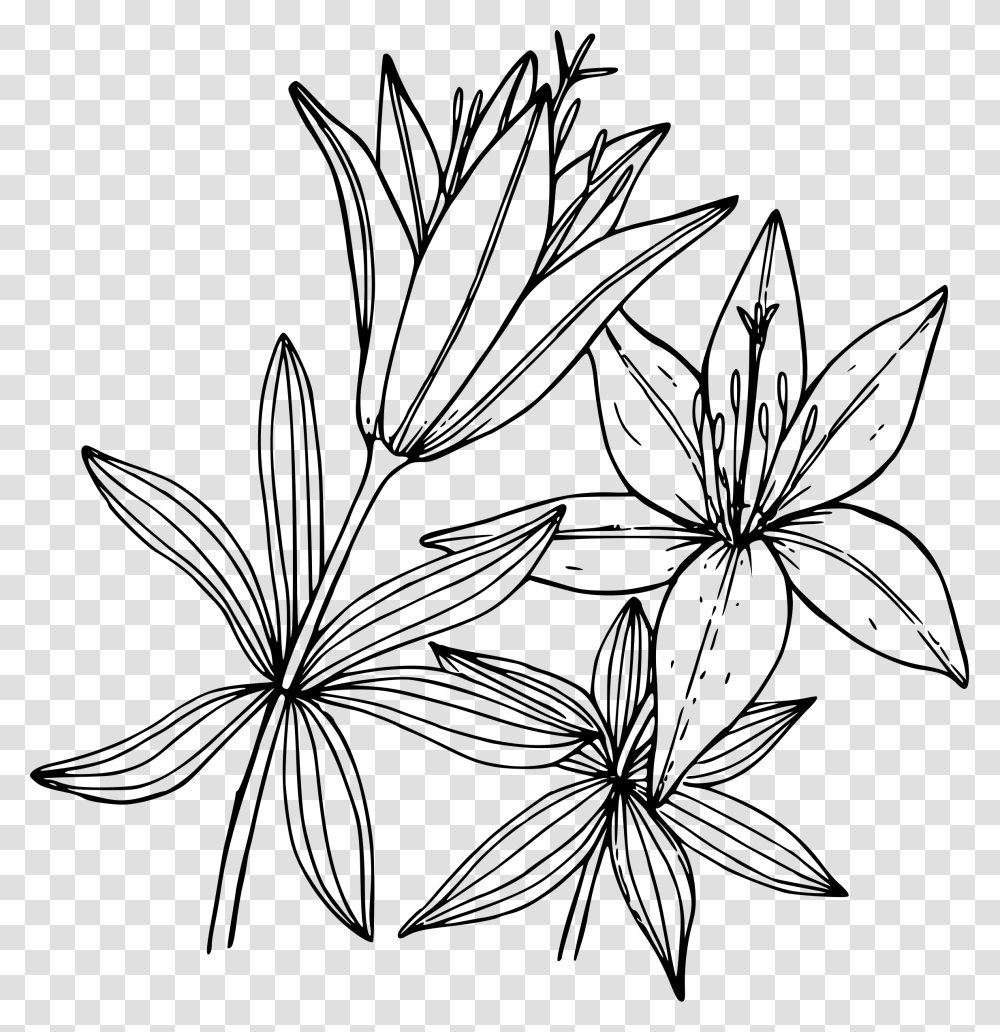 Wood Lily Icons, Gray, World Of Warcraft Transparent Png