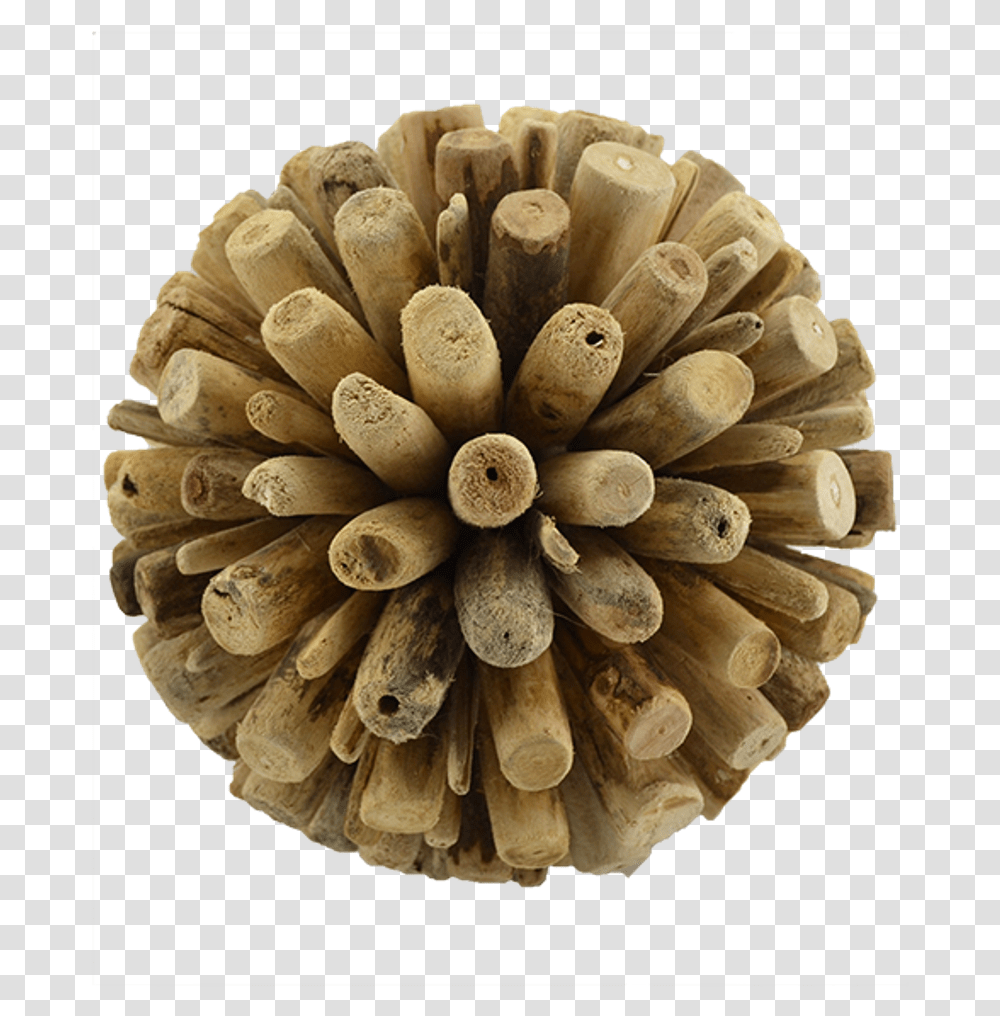 Wood, Lumber, Fungus, Cork, Driftwood Transparent Png