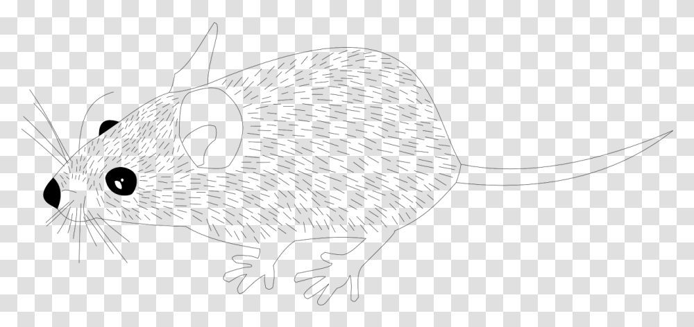 Wood Mouse Animal Mouse Rat Image Line Art, Gray, World Of Warcraft Transparent Png