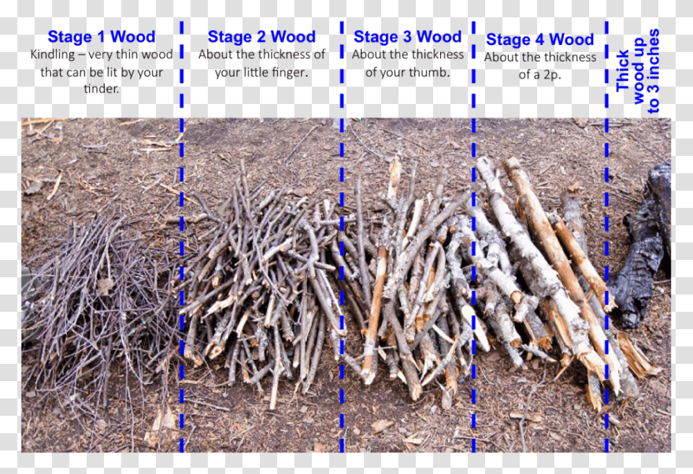 Wood Pile Different Stages Of Wood, Stick, Antler, Cane Transparent Png
